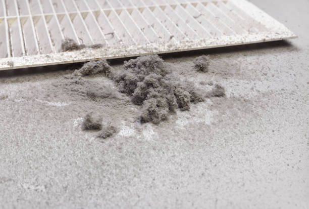 Best HVAC Duct Inspection Services  in La Joya, TX