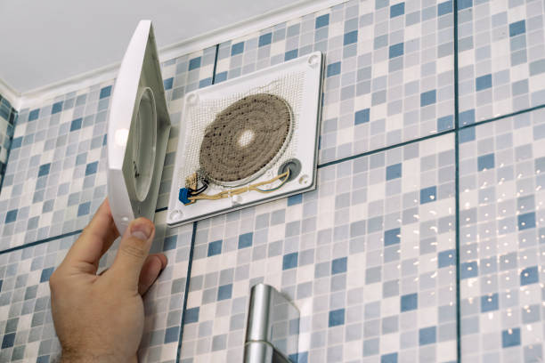 Best Ductwork Cleaning Services  in La Joya, TX