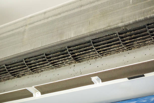 Best Professional Duct Cleaning Services  in La Joya, TX