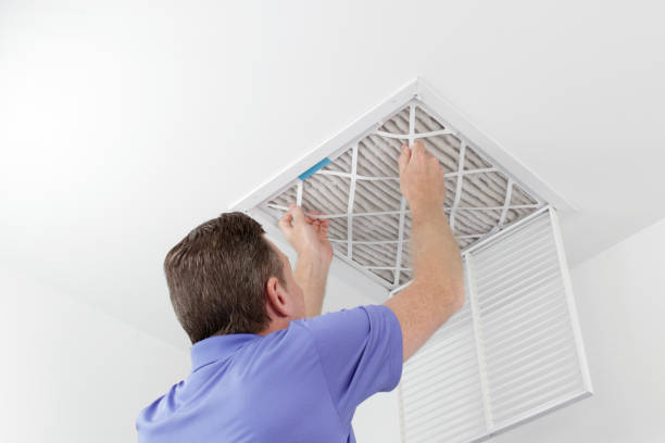 Best Dryer Vent Cleaning Services  in La Joya, TX